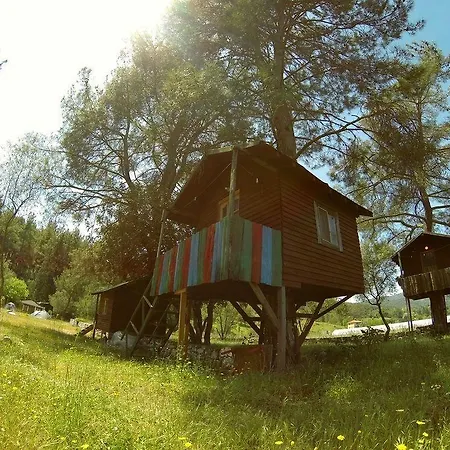 Olympos Woods - Adults Only 3* Adrasan