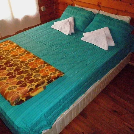 Hotel Olympos Woods - Adults Only
