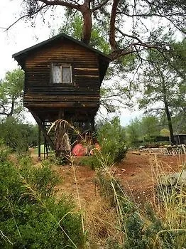 Olympos Woods - Adults Only 3* Adrasan