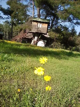Olympos Woods - Adults Only Hotel Adrasan